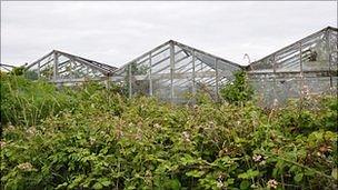 Greenhouses