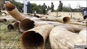 Kenya Wildlife Service (KWS) officers stand guard near a shipment of elephant tusks and rhino horns which was intercepted at Jomo Kenyatta International Airport, in the capital Nairobi August 23, 2010