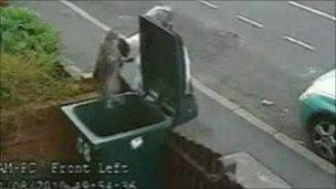 CCTV images of the cat being put in the bin in Coventry