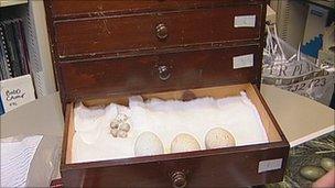 Seized egg cabinet