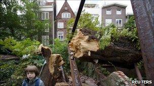 The chestnut tree which once comforted Anne Frank