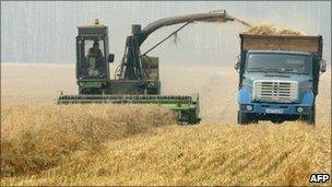 A self-propelled combine harvester on a field near a village of Meshcherskoye, some 50 km south of Moscow