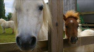 Gretel and Lewis (L-R)