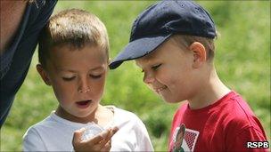 Two boys look into a bug box