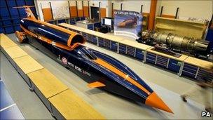 Bloodhound on display