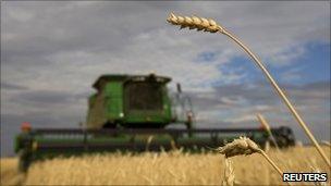 Combine harvester in Kazakhstan