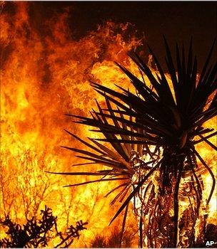 File picture of a wildfire in California (Image: AP)