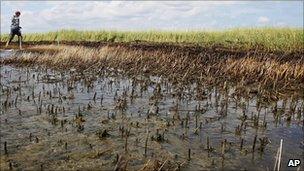 Bay Jimmy on the Louisiana coast, 16 Sept