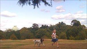 Playing in park with dog