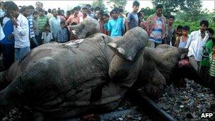 Indian villagers crowd around the carcass of an elephant at Moraghat Tea Garden near Binnaguri in Jalpaiguri district of India's West Bengal state