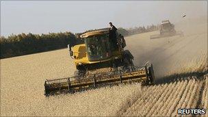 Harvest in the Altai region of Russia. 22 Sept 2010