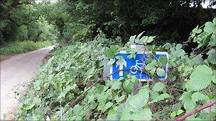 Signpost partly hidden by brambles