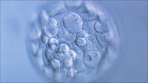 Blastocyst