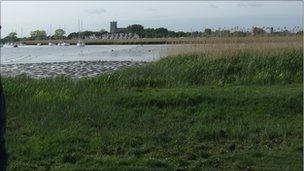 Stanpit Marsh with Christchurch Priory in the background