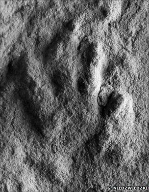 Footprint (Grzegorz Niedzwiedzki)