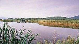 The Ynys Hir nature reserve project will also provide flood protection