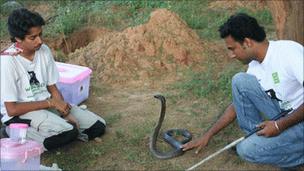 Releasing a snake