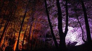 Faskally Woods