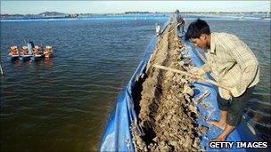 Shrimp farm