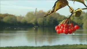 A lake at the Cotswold Water Park