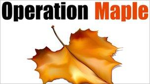 Operation Maple logo