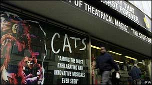 Cats at the New London Theatre