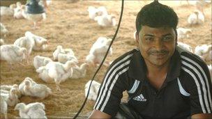 Man with his flock of chickens in a coup