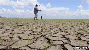 A man walks on the muddy bottom of the Rio Negro on 26 October