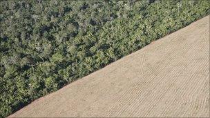 Aerial view of soy fields and forest in the state of Mato Grosso - 2008