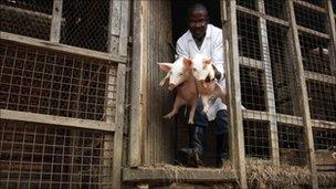 Rwandan farmer