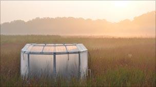 Salt marshes