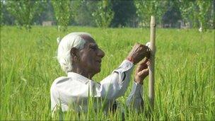 The pheromone spray is applied to crops in India