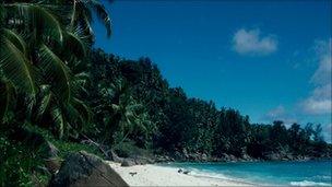 Seychelles beach
