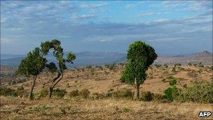 View of the slopes of Mount Kenya