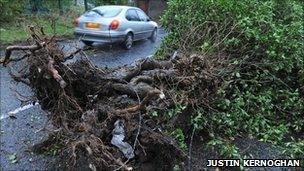 A fallen tree has blocked the Hannahstown Hill road in Belfast