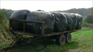 Plastic covered bales