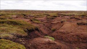 Kinder Scout peat bog