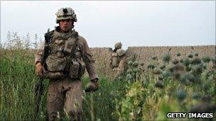 A US soldier walks through a field of poppies in Helmand Province, southern Afghanistan