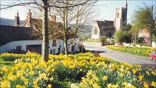 Uley: Photo by John Wilkes