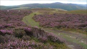 Summit of Penycloddiau