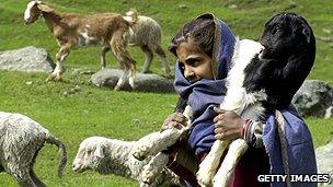 Shepherdess in Kashmir