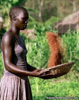 A woman preparing food in Uganda