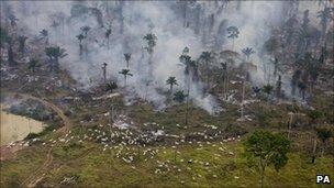 Man made fires to clear the land for cattle or crops in Sao Felix Do Xingu Municipality, Para, Brazil - June 2009