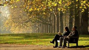 Trees in a park