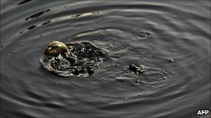 Bubbles on an oil refinery containment pond in Sudan