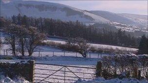 Snowy field