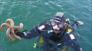 Diver with starfish