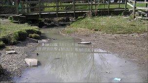 A picture of part of the Afon Goch taken by the Environment Agency