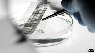 DNA profile in lab