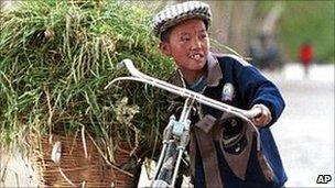 A Chinese boy struggles to balance a bicycle loaded up with grasses for animal feed